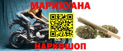 apvp Пугачёв