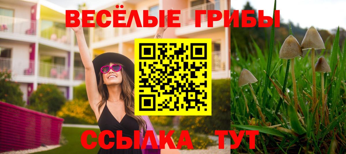Псилоцибиновые грибы Psilocybine cubensis  Галлюциногенные грибы Magic Shrooms  Вход с VPN  Сальск 